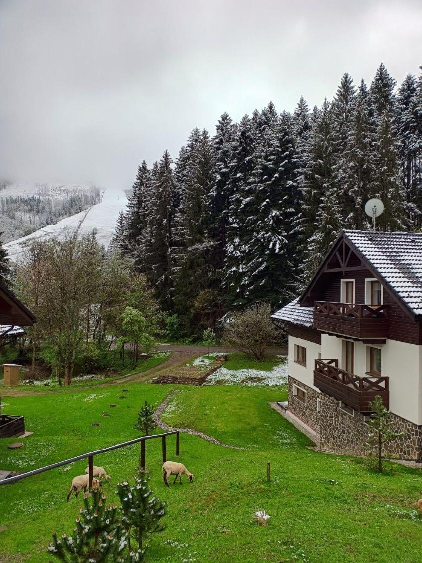 Apartman Grun -Vratna-Paseky Zilina Exterior photo